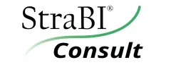 StraBI Consult Ledelsesrådgiver virksomhedsmægler bestyrelsesrådgiver