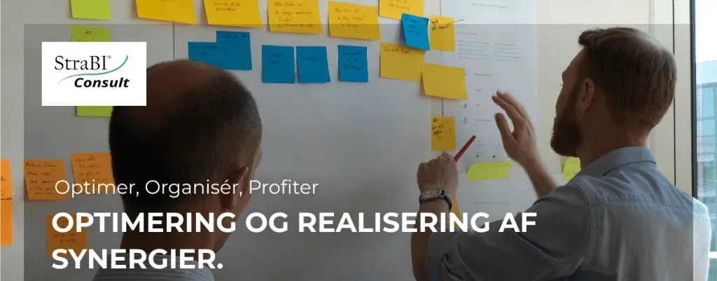 Optimering og synergi realisering i virksomhedsdrift